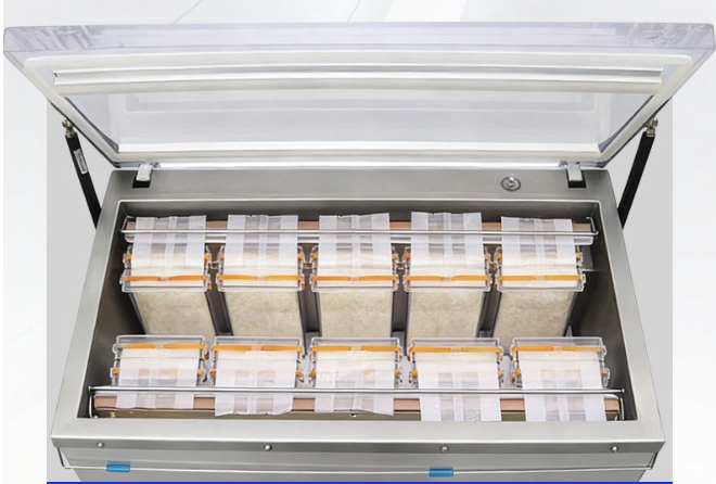 Industrial Chamber Vacuum Sealer Machine | Heavy-Duty Wet & Dry Vacuum Packaging