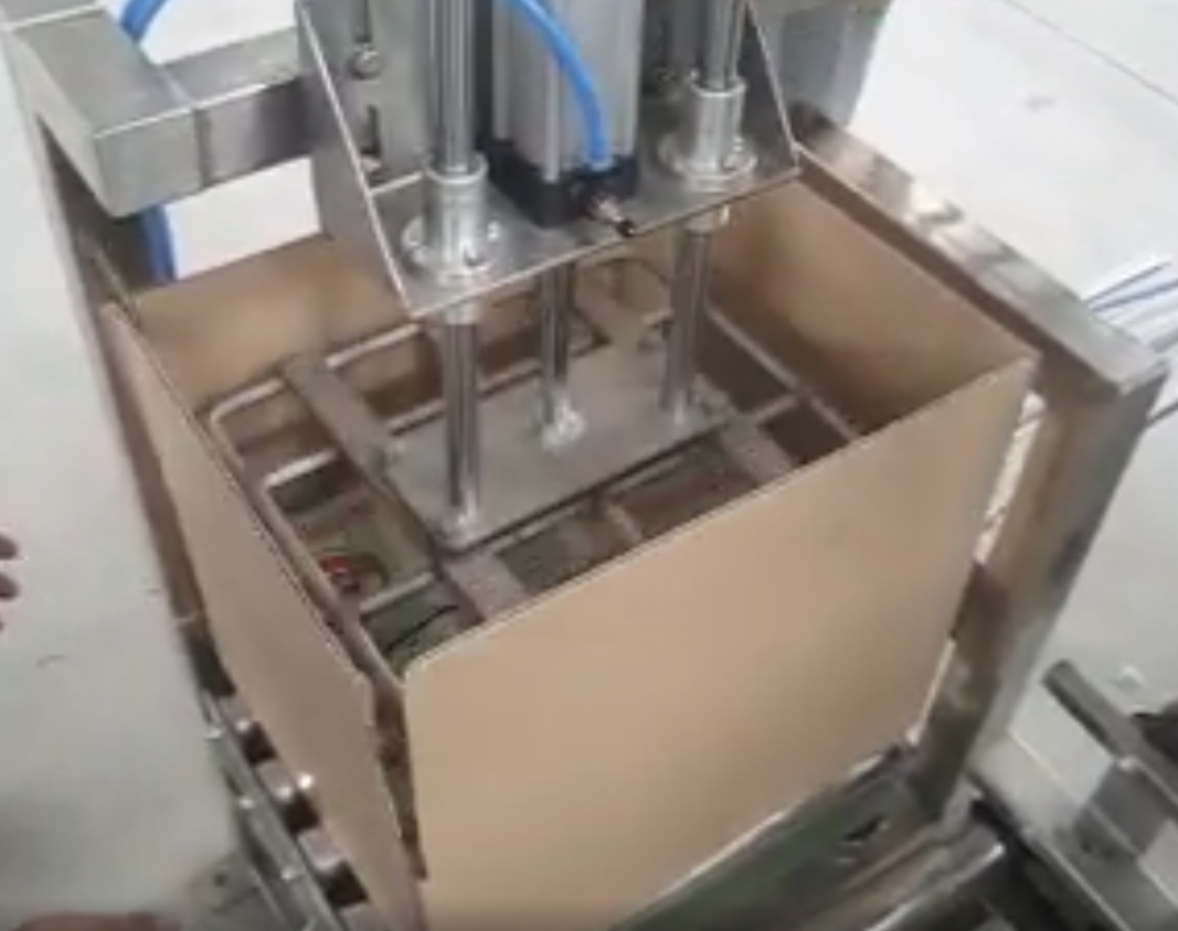 Drop Packer Machine | Automatic Bag Case Packer