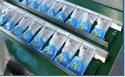 Continuous Rotary Vacuum Sealer Machine | Multi-Bag High-Speed Food Packaging