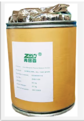Round Chamber Vertical External Vacuum Sealer | 10–25 kg Large Bag | Powder, Granule & Paste Packaging Machine