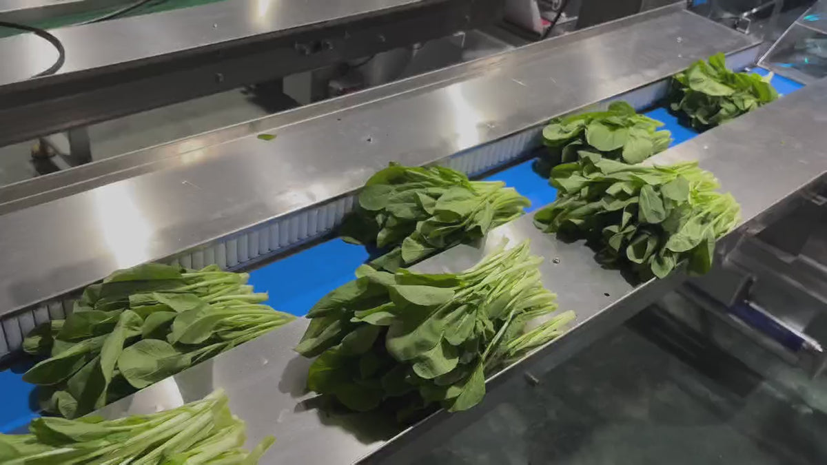 Three-Servo Gas Flush Pillow Packaging Machine for Vegetables & Seeds